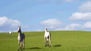 Пони С. и Т.Никитины слова Ю.Мориц