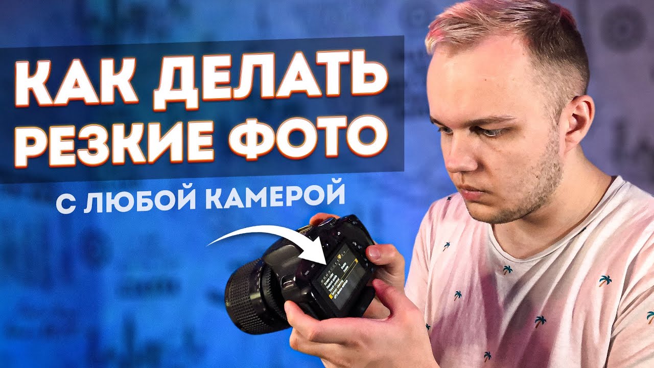 Фотография Как Научиться Фотографировать