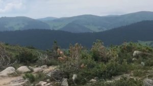 Парк Ергаки. Висячий камень.