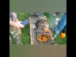 Рой пчёл прилетел на голову пчеловода #14 #shorts