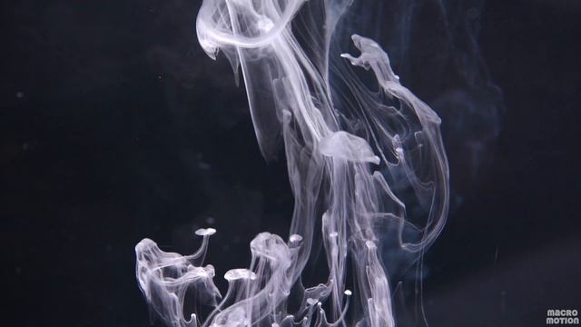 4k Macro Video: Color Ink In Water / Макро Видео: Краска В Воде