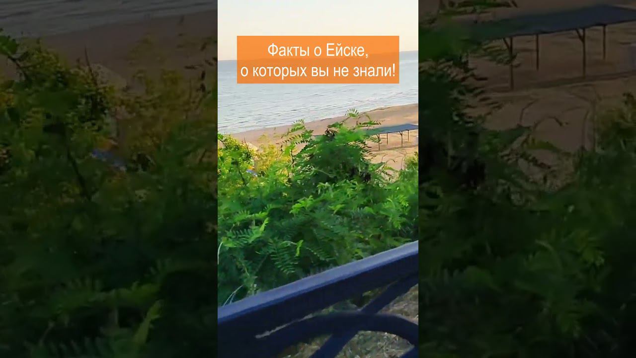 Фирменные блюда Ейской кухни! #shorts #ейск #ейскотдых #ейскжилье #отдыхнакубани #отдыхнаюге