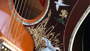 Greg Cooper - Gibson Doves In Flight