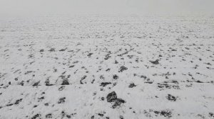 Охота на зайца!!! тоз 34, 2022г