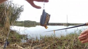 Ловля толстолоба на поплавок! На что ловить! Трофейная рыбалка. НЕ ПРОПУСТИ!