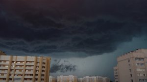 Лето, которое мы заслужили)