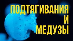 Притча о медузах и тренировка на пляже