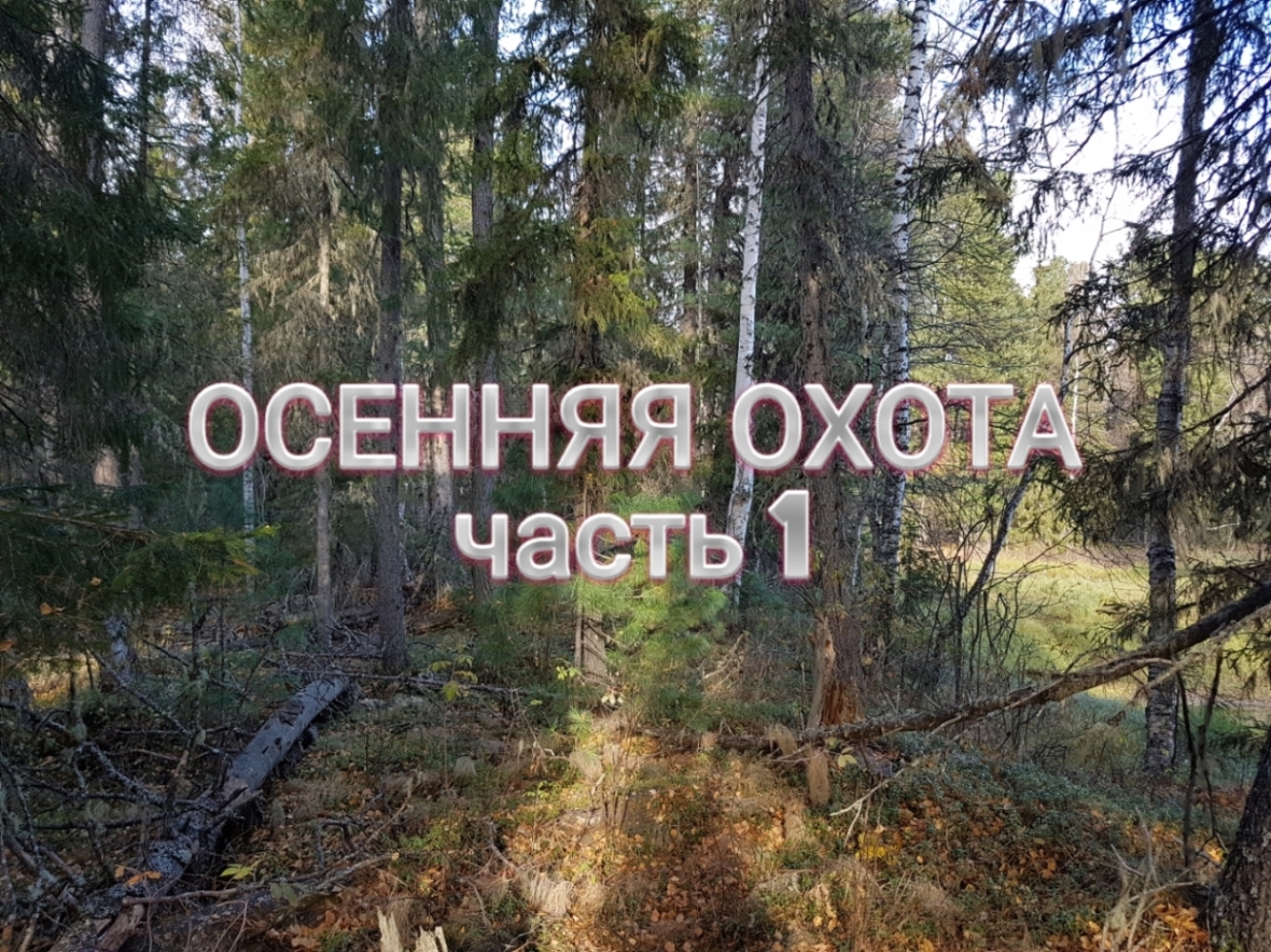 ОСЕННЯЯ ОХОТА Ч.1.mp4