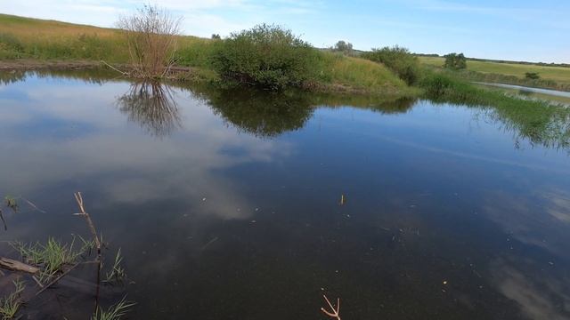 Давно не встречал ТАКУЮ рыбу С Удочкой по Саратовской области смотреть онлайн