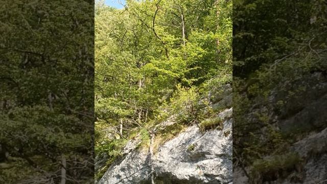 тропа Чудес смотреть онлайн