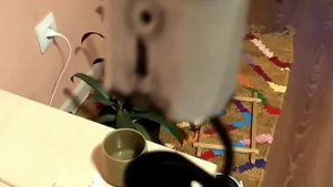 Герметизация kugoo s1