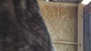 Как утеплить дом. Лучший способ утепления каркасных стен.