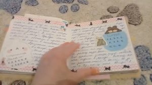 Обзор на 11 личный дневник?/Мой лд/?