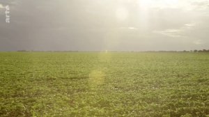 Pesticide et sante : l'equation sans solution - Arte 2015