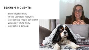 Правила выращивания здорового щенка! Уход за щенком: правила содержания