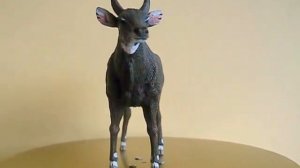 Nilgai by CollectA - preview - MartinH Collection