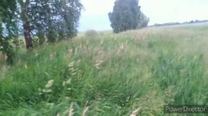 Проверка* Роеловство-21 в разгаре - лови момент!!!