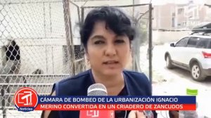 PIURA. CÁMARA DE BOMBEO DE LA URBANIZACIÓN IGNACIO MERINO ES UN CRIADERO DE ZANCUDOS