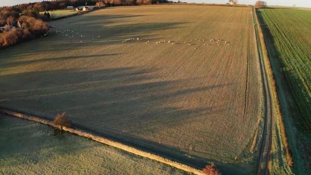 Расслабляющая музыка с пением птиц | Случайное пианино на выходной смотреть онлайн