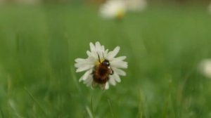 Canon EOS C300 EF - NEW CP8: Wide DR test. Canon 16-35mm 2.8 L