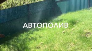 Купить дом на берегу Волги (Саратовская обл. с.Девичьи горки)