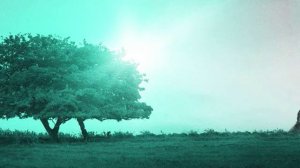 Dario Marianelli - Your Hands Are Cold (soundtrack Pride and Prejudice)