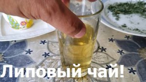 240816 Липовый чай напиток из листоев липы Как и где собирать готовить заваривать Цвет Приготовление