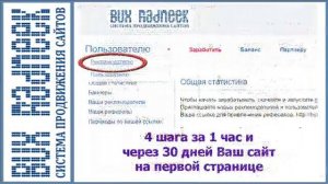 Шаг 4: Уникальные посетители на сайт пошаговая инструкция Radneek