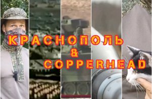 Сравнение снарядов #Краснополь и #Copperhead
