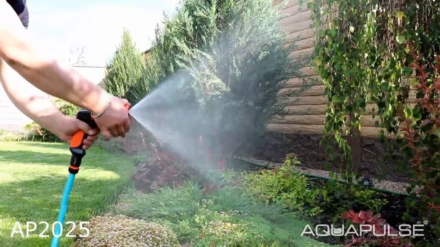 AP2025 Пистолет 9 ти функциональный пластиковый смотреть онлайн