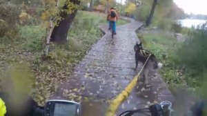 Воскресная тренировка, Кожухово, 06.10.2019