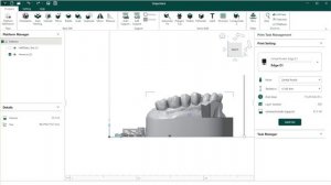 Обзор слайсера Rayshape