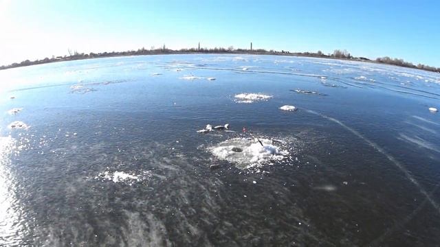 РЫБАЛКА В АСТРАХАНИ в январе 2023.Ловля леща и густеры на чудо снасть. смотреть онлайн