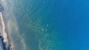 Куда поехать на Новый Год ? Самые популярные направления отдыха