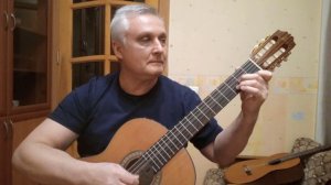 Червона рута музыка В.М.Ивасюка гитара