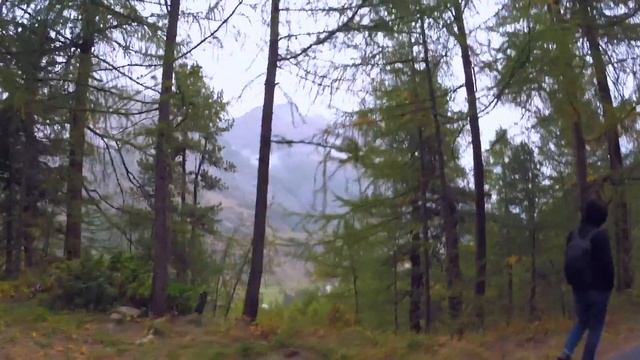 ШВЕЙЦАРИЯ 2 | В поезд на машине. Альпы! Продолжаем встречи с замечательными людьми смотреть онлайн