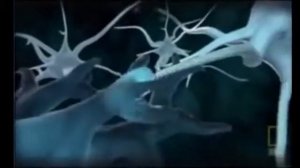 Как ВОССТАНОВИТЬ НЕРВНУЮ СИСТЕМУ ПОСЛЕ СТРЕССА