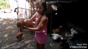 Как усыпить курицу?🐔🐔🐔