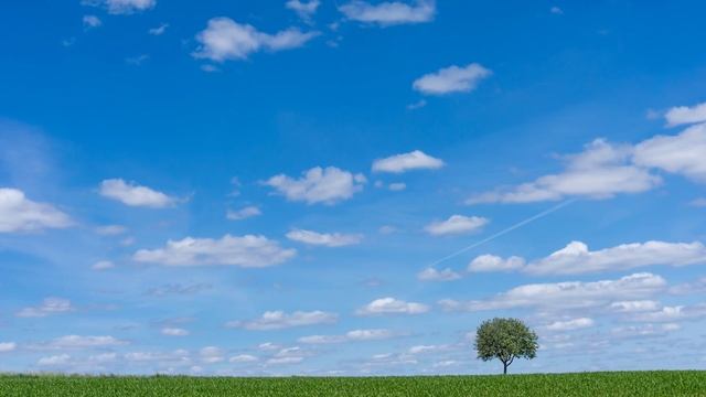 Евангелие и Святые дня. Апостольские чтения. Святых отцов I Вселенского Собора (325). (13.06.2021) смотреть онлайн