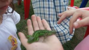 Дети и ящерица