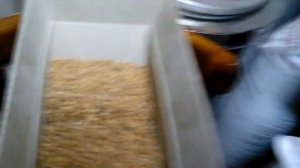 Дробилка для солода в работе