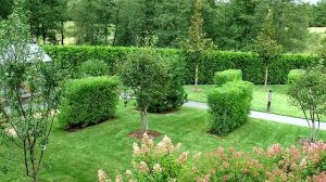 Проект "Медок". Ландшафтная мастерская NB-Garden