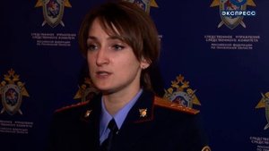 Похищенную в Шемышейке девочку увезли в Кировскую область