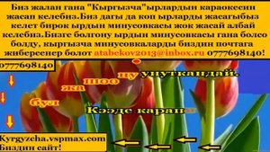 Жаз жамгыры караоке