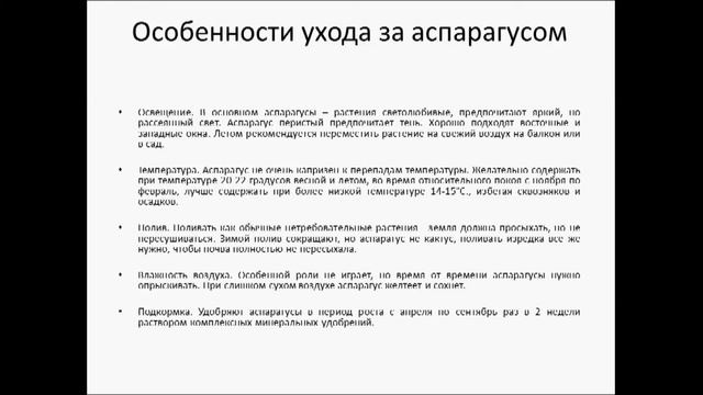 Аспарагус   виды, уход и разведение