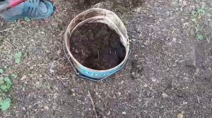 ВАРИАНТ ЧЕРВЯТНИКА для БИОГУМУСА!