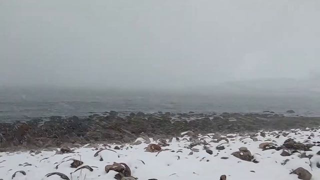 Снежный заряд на побережье | Баренцево море смотреть онлайн