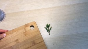 Укоренение листочка вариегатного замиокулькаса.