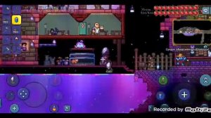 Как получить нового питомца Джунимо в Террарии |terraria 1.4.4