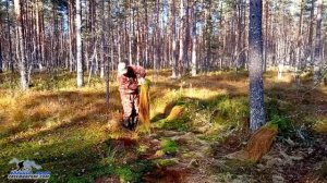 МОЯ ИЗБА В ЛЕСУ. Как утеплить пол, как утеплить потолок, как утеплить дом. Блок утеплитель из мха.